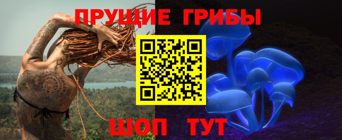 Галлюциногенные грибы Psilocybe  Псилоцибиновые грибы Psilocybine cubensis  Вход с VPN  Шатура 