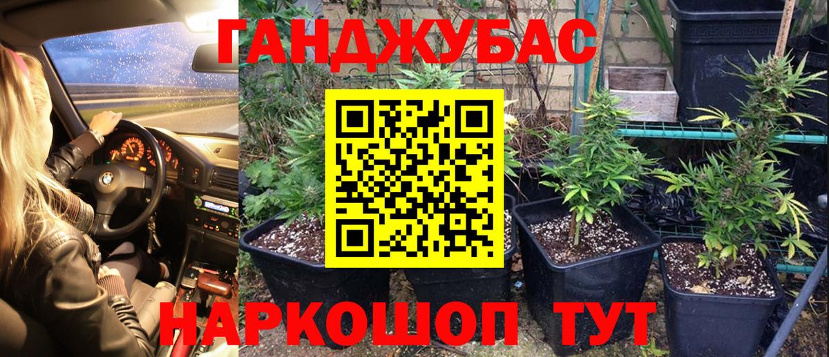 Бошки марихуана OG Kush Шатура